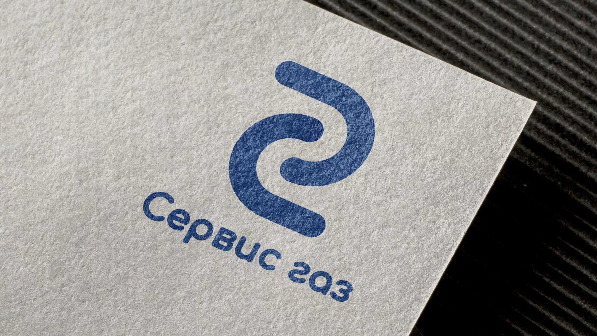 Разработка логотипа «Сервис газ» в Алейске