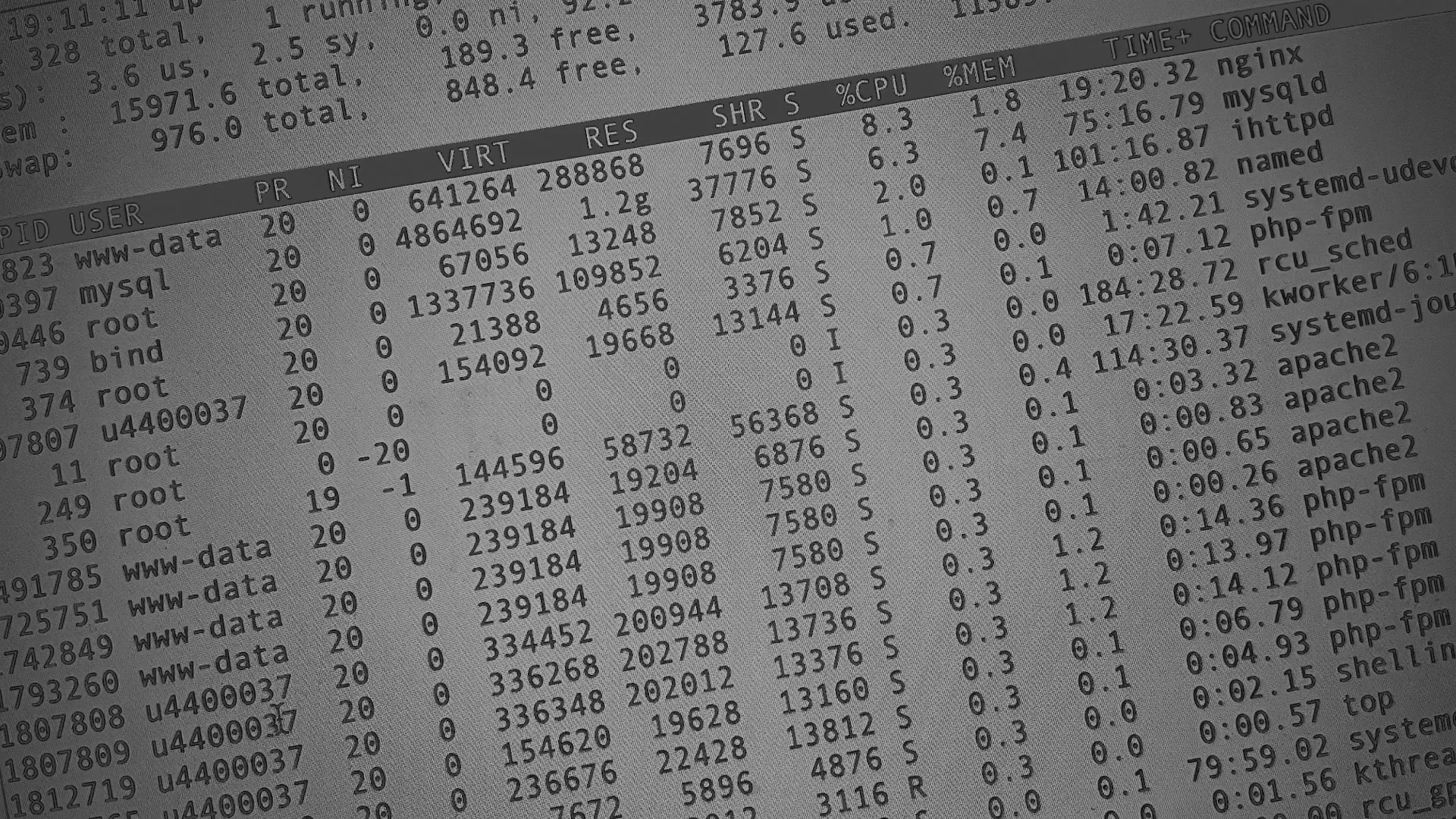 Настройка сервера в Алейске Настройка сервера в Алейске